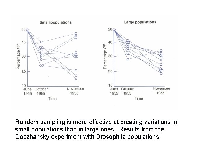 Random sampling is more effective at creating variations in small populations than in large