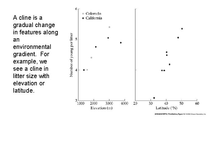 A cline is a gradual change in features along an environmental gradient. For example,