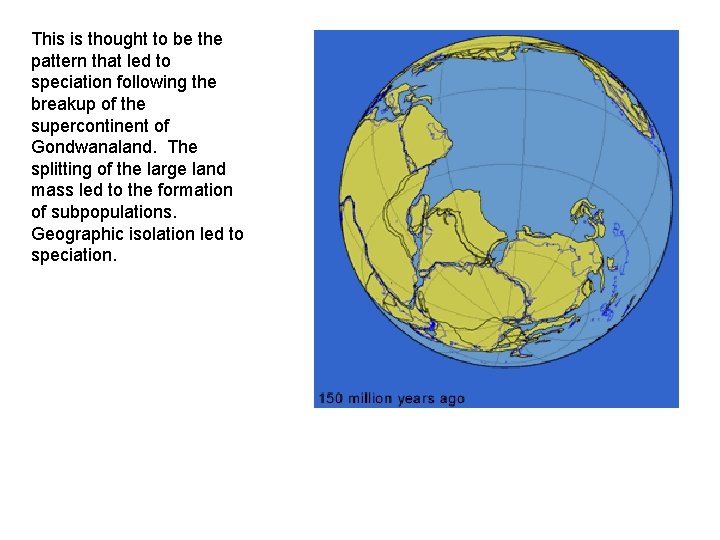 This is thought to be the pattern that led to speciation following the breakup