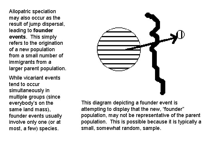 Allopatric speciation may also occur as the result of jump dispersal, leading to founder