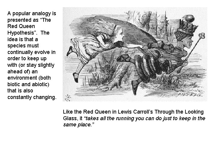 A popular analogy is presented as “The Red Queen Hypothesis”. The idea is that