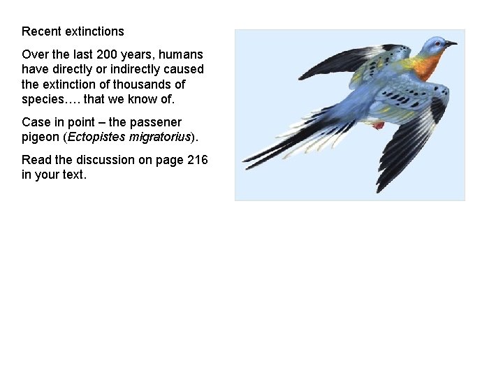 Recent extinctions Over the last 200 years, humans have directly or indirectly caused the