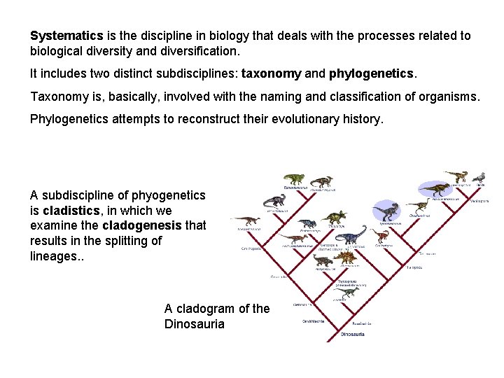 Systematics is the discipline in biology that deals with the processes related to biological