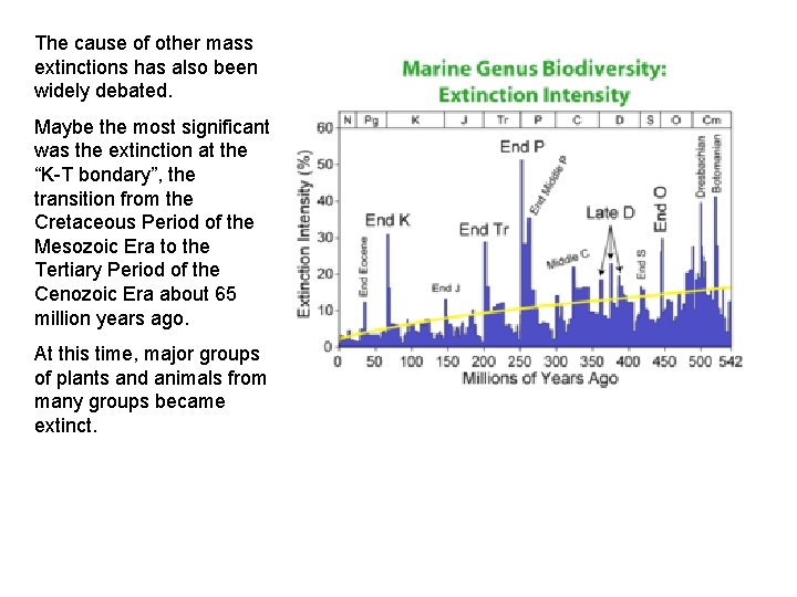 The cause of other mass extinctions has also been widely debated. Maybe the most