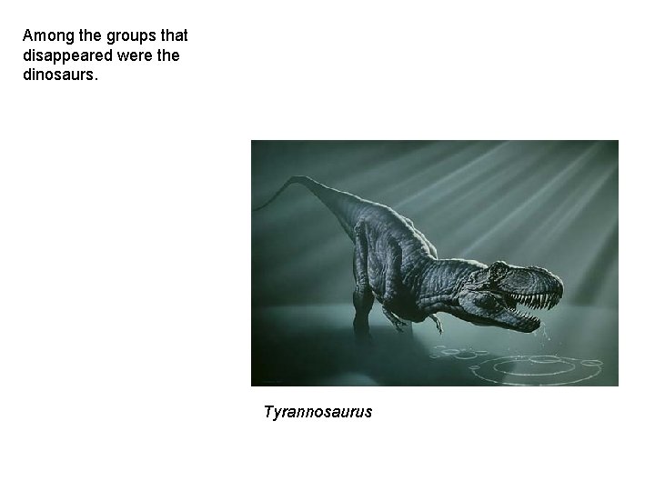 Among the groups that disappeared were the dinosaurs. Tyrannosaurus 