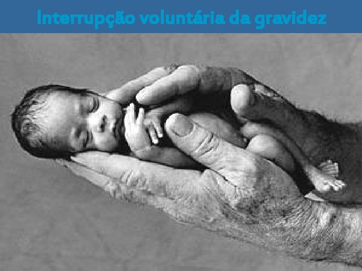 Interrupção voluntária da gravidez 