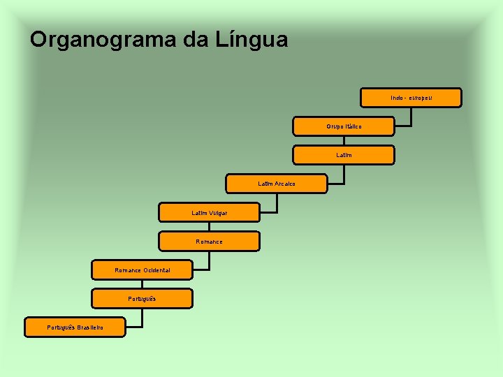 Organograma da Língua Indo - europeu Grupo Itálico Latim Arcaico Latim Vulgar Romance Ocidental