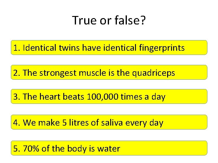 True or false? 1. Identical twins have identical fingerprints 2. The strongest muscle is