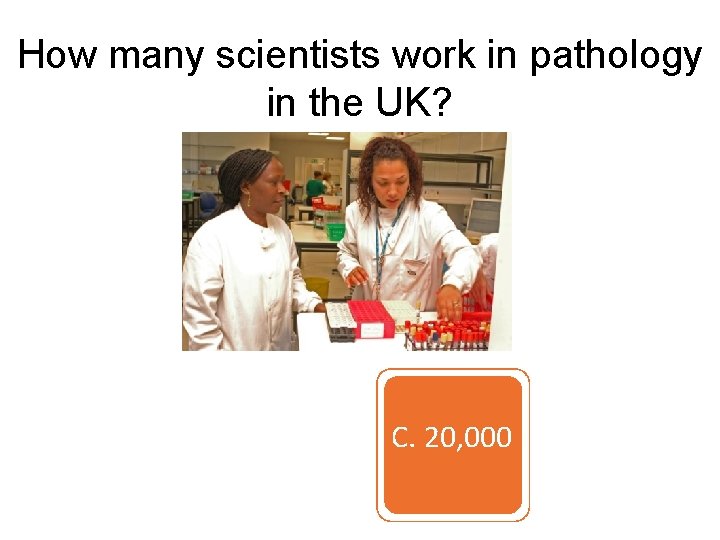 How many scientists work in pathology in the UK? A. 5, 000 B. 10,