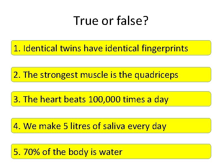 True or false? 1. Identical twins have identical fingerprints 2. The strongest muscle is