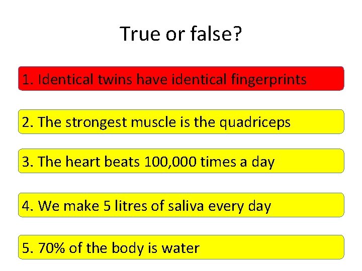 True or false? 1. Identical twins have identical fingerprints 2. The strongest muscle is