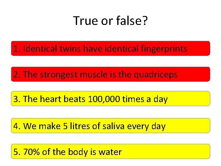 True or false? 1. Identical twins have identical fingerprints 2. The strongest muscle is