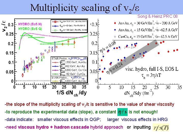  Multiplicity scaling of v 2/ε Song & Heinz PRC 08 -the slope of