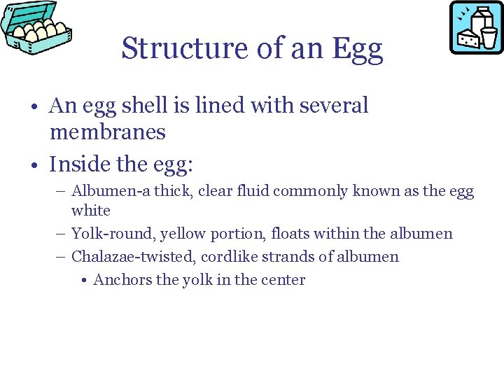 Structure of an Egg • An egg shell is lined with several membranes •