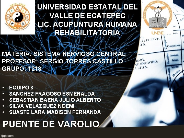 UNIVERSIDAD ESTATAL DEL VALLE DE ECATEPEC LIC. ACUPUNTURA HUMANA REHABILITATORIA MATERIA: SISTEMA NERVIOSO CENTRAL