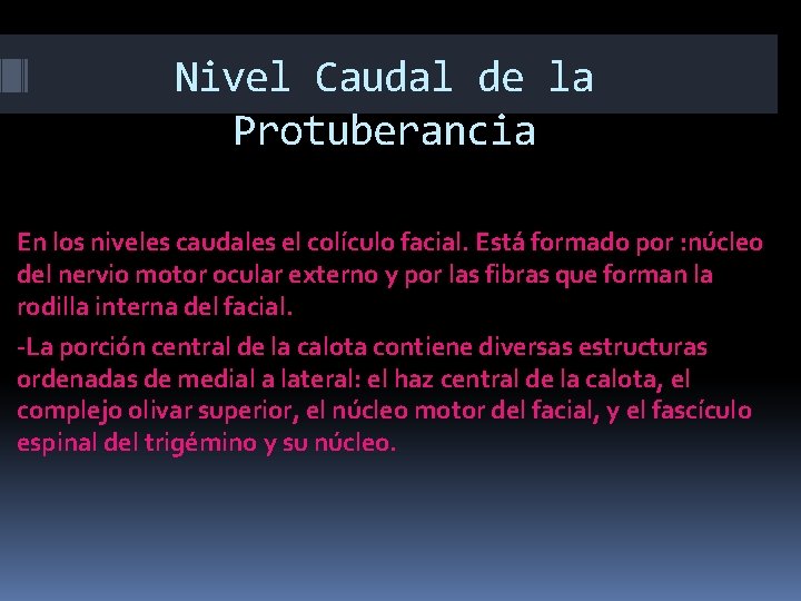 Nivel Caudal de la Protuberancia En los niveles caudales el colículo facial. Está formado