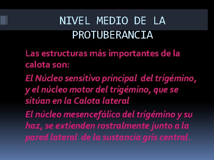 NIVEL MEDIO DE LA PROTUBERANCIA Las estructuras más importantes de la calota son: El