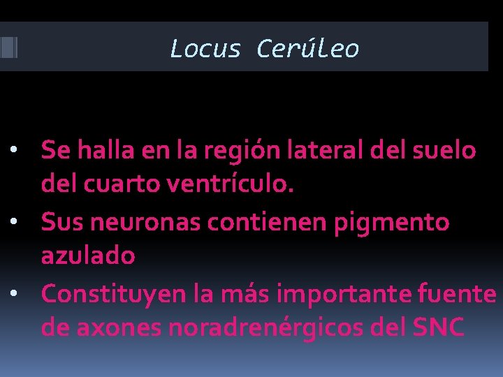 Locus Cerúleo • Se halla en la región lateral del suelo del cuarto ventrículo.