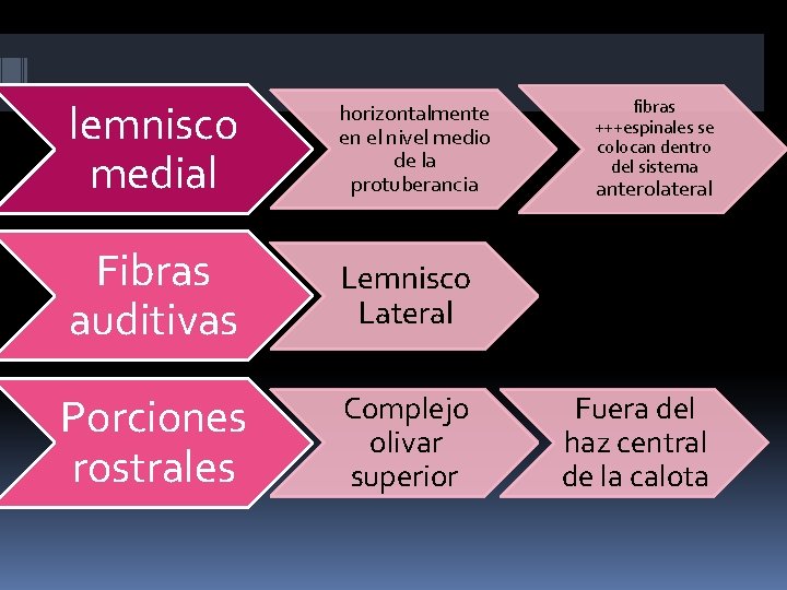 lemnisco medial horizontalmente en el nivel medio de la protuberancia Fibras auditivas Lemnisco Lateral