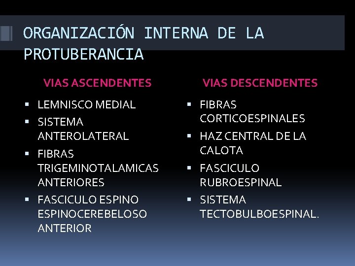 ORGANIZACIÓN INTERNA DE LA PROTUBERANCIA VIAS ASCENDENTES LEMNISCO MEDIAL SISTEMA ANTEROLATERAL FIBRAS TRIGEMINOTALAMICAS ANTERIORES