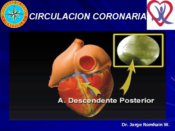 CIRCULACION CORONARIA Dr. Jorge Romhain W. 
