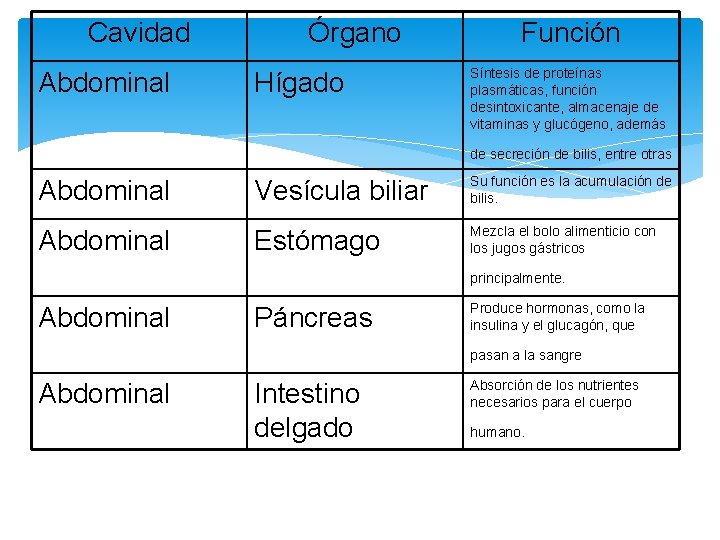 Cavidad Abdominal Órgano Hígado Función Síntesis de proteínas plasmáticas, función desintoxicante, almacenaje de vitaminas