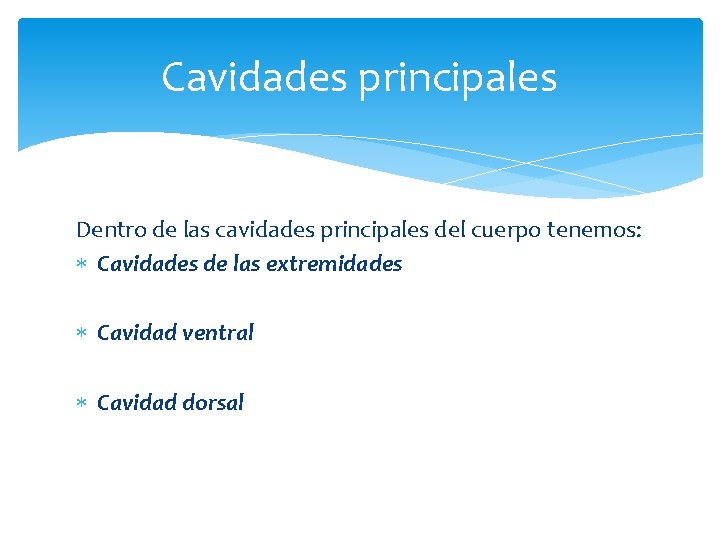 Cavidades principales Dentro de las cavidades principales del cuerpo tenemos: Cavidades de las extremidades