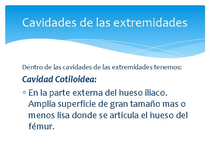 Cavidades de las extremidades Dentro de las cavidades de las extremidades tenemos: Cavidad Cotiloidea: