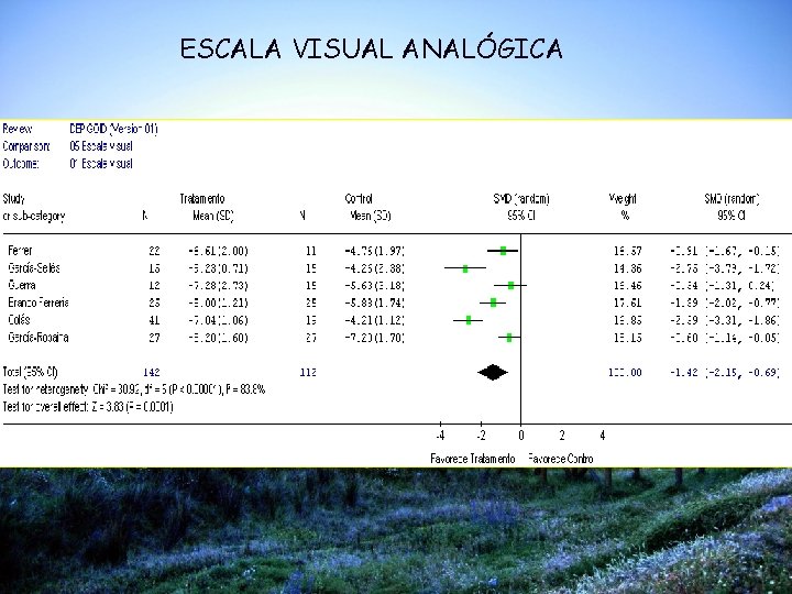 ESCALA VISUAL ANALÓGICA 