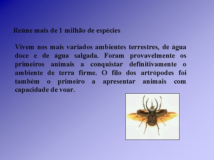 Reúne mais de 1 milhão de espécies Vivem nos mais variados ambientes terrestres, de Reúne mais de 1 milhão de espécies Vivem nos mais variados ambientes terrestres, de