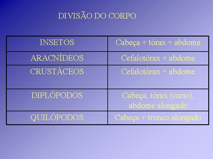 DIVISÃO DO CORPO INSETOS Cabeça + tórax + abdome ARACNÍDEOS Cefalotórax + abdome CRUSTÁCEOS DIVISÃO DO CORPO INSETOS Cabeça + tórax + abdome ARACNÍDEOS Cefalotórax + abdome CRUSTÁCEOS