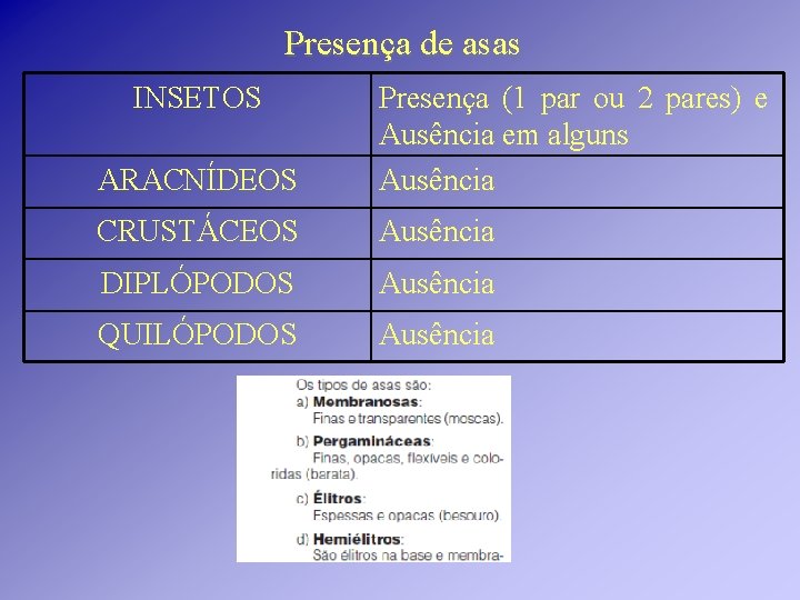 Presença de asas INSETOS ARACNÍDEOS Presença (1 par ou 2 pares) e Ausência em Presença de asas INSETOS ARACNÍDEOS Presença (1 par ou 2 pares) e Ausência em
