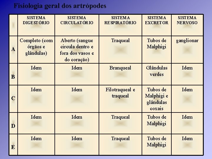 Fisiologia geral dos artrópodes SISTEMA DIGESTÓRIO SISTEMA CIRCULATÓRIO SISTEMA RESPIRATÓRIO SISTEMA EXCRETOR SISTEMA NERVOSO Fisiologia geral dos artrópodes SISTEMA DIGESTÓRIO SISTEMA CIRCULATÓRIO SISTEMA RESPIRATÓRIO SISTEMA EXCRETOR SISTEMA NERVOSO