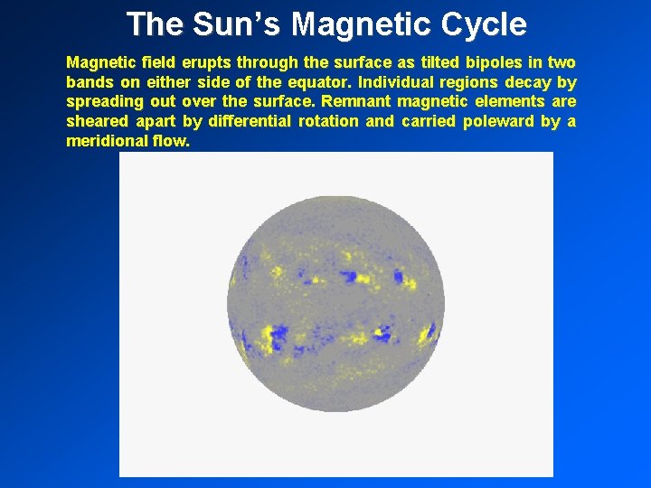 The Sun’s Magnetic Cycle Magnetic field erupts through the surface as tilted bipoles in