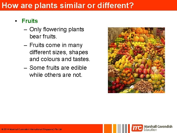 How are plants similar or different? • Fruits – Only flowering plants bear fruits.