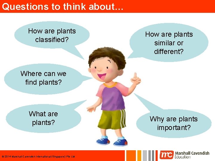 Questions to think about… How are plants classified? How are plants similar or different?