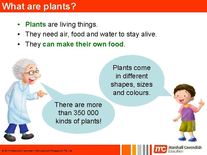 What are plants? • Plants are living things. • They need air, food and