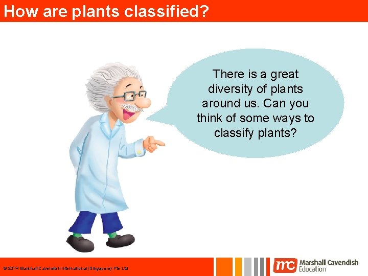 How are plants classified? There is a great diversity of plants around us. Can