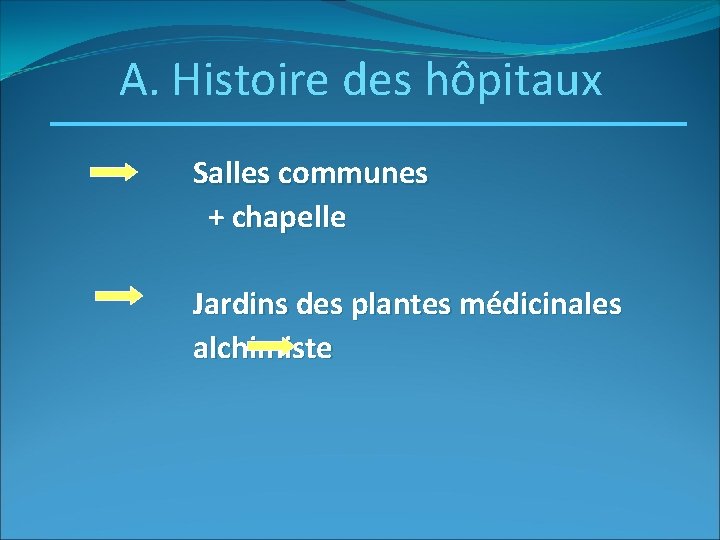 A. Histoire des hôpitaux Salles communes + chapelle Jardins des plantes médicinales alchimiste 