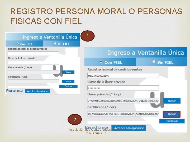 REGISTRO PERSONA MORAL O PERSONAS FISICAS CON FIEL 1 2 Asociación de Agentes Aduanales