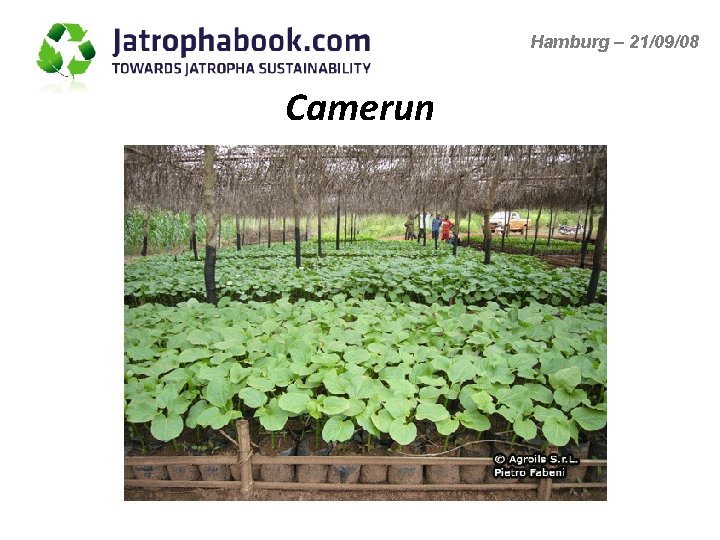 Hamburg – 21/09/08 Camerun 