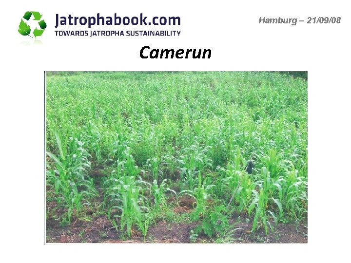 Hamburg – 21/09/08 Camerun 