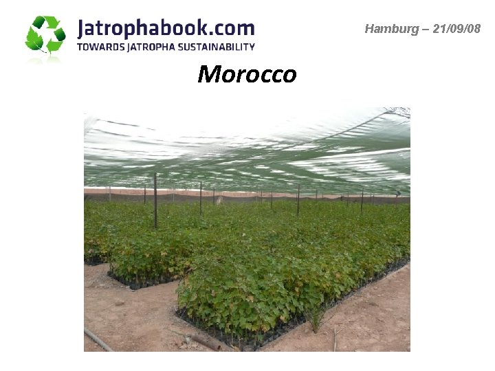 Hamburg – 21/09/08 Morocco 