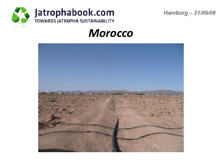 Hamburg – 21/09/08 Morocco 