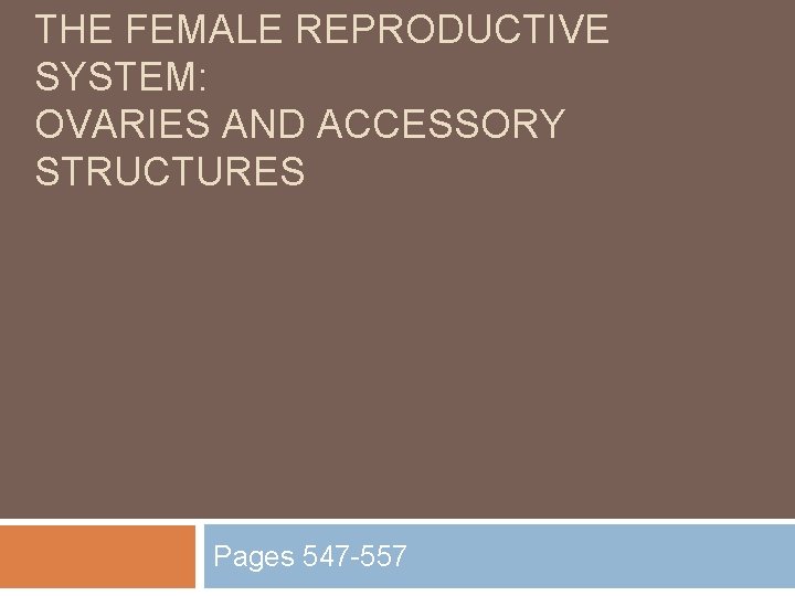 THE FEMALE REPRODUCTIVE SYSTEM: OVARIES AND ACCESSORY STRUCTURES Pages 547 -557 