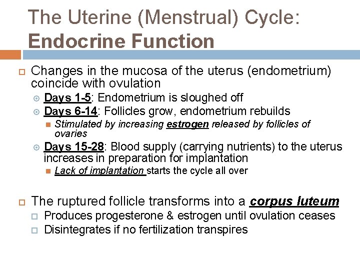 The Uterine (Menstrual) Cycle: Endocrine Function Changes in the mucosa of the uterus (endometrium)