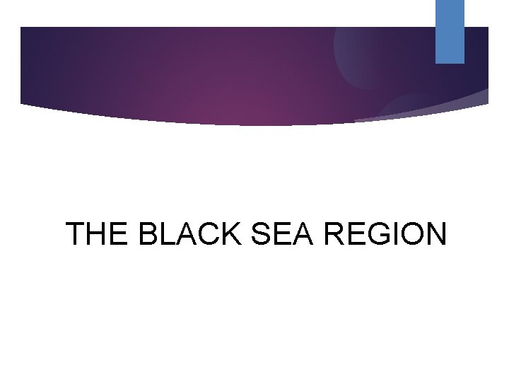 THE BLACK SEA REGION 