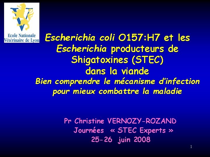 Escherichia coli O 157: H 7 et les Escherichia producteurs de Shigatoxines (STEC) dans