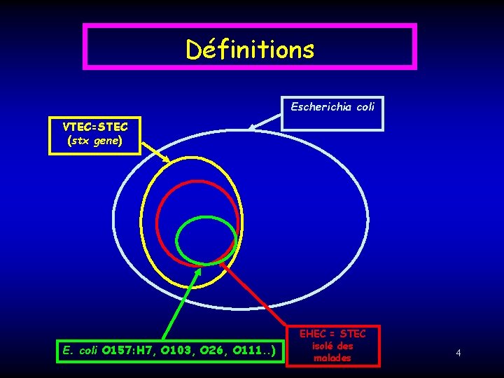 Définitions Escherichia coli VTEC=STEC (stx gene) E. coli O 157: H 7, O 103,