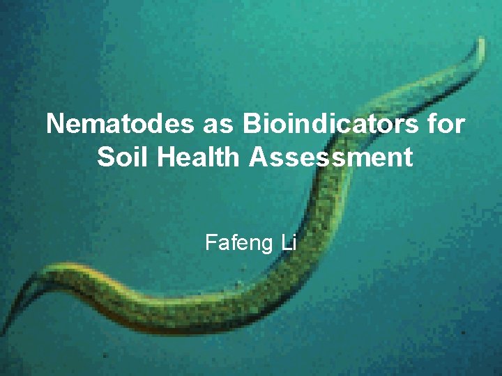 Nematodes as Bioindicators for Soil Health Assessment Fafeng Li 